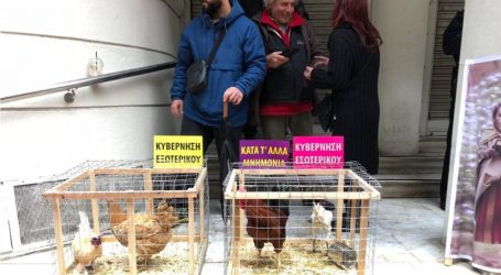 Γιατροί και νοσηλευτές διαμαρτυρήθηκαν με κόκορες και κότες έξω από το υπουργείο Υγείας