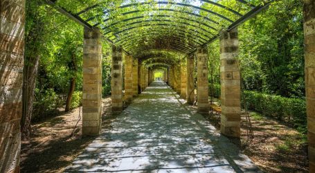 Θύμα ξυλοδαρμού για ληστεία μέσα στον Εθνικό Κήπο ο επιστημονικός διευθυντής του Μπενάκη