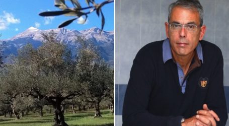 Ρεκόρ 100 διεθνών βραβείων για Έλληνα ελαιοπαραγωγό