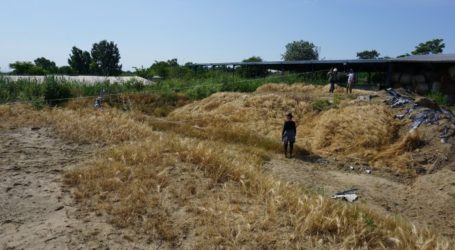 Κυνικός ο δολοφόνος του Δημήτρη Γραικού – Ακόμη και την στιγμή της εκσκαφής