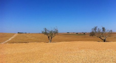 Κίνδυνος ερημοποίησης για το 1/3 των εδαφών της Ελλάδας