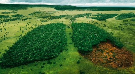 WWF: Δημοσκόπηση για ΑΠΕ- 81% των Ελλήνων ζητά μέτρα για την αντιμετώπιση της κλιματικής κρίσης