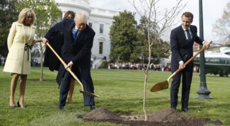 Δεν άντεξε η βελανιδιά που φύτεψαν Τραμπ και Μακρόν στον Λευκό Οίκο – βρισκόταν σε καραντίνα!