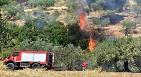 Η φωτιά δεν «μπαίνει», συνήθως τη βάζει κάποιος που πρέπει να πληρώσει!