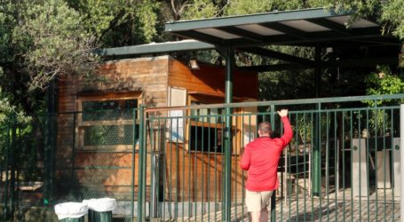 Πρωτοφανές: Ο αρχιφύλακας της Ακρόπολης ήταν και διαχειριστής των εισιτηρίων!