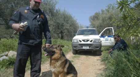 Βρέθηκε σορός γυναίκας σε σπηλιά στα Χανιά – Υποψίες ότι ανήκει στην αγνοούμενη βιολόγο