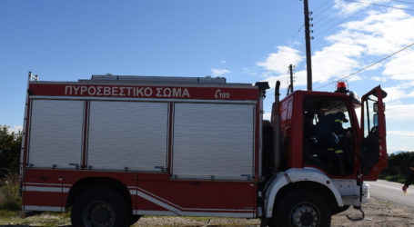 Πρόλαβαν τους εμπρηστές την τελευταια στιγμή – «Υπάρχει οργανωμένο σχέδιο εμπρησμού της περιοχής»