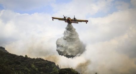 Φωτιά στην Εύβοια: Εκκενώθηκε το Μακρυχώρι – Επικίνδυνες διαστάσεις λόγω ισχυρών ανέμων