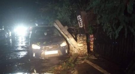 Νεκροί από τη σφοδρή κακοκαιρία που σαρώνει στη Χαλκιδική