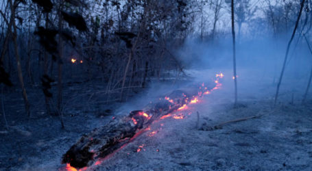 Πυρκαγιές στον Αμαζόνιο: Η Βραζιλία απορρίπτει τη βοήθεια που της πρόσφερε η G7
