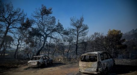 Φωτιά στην Εύβοια: Κάηκαν αυτοκίνητα και αγροικίες, δεν κινδύνευσαν άνθρωποι