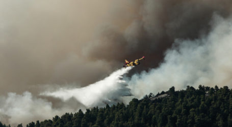 Πυροσβεστική για τη φωτιά στην Εύβοια: Υπάρχουν σαφείς ενδείξεις εμπρησμού