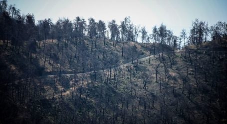 Φωτιά στην Εύβοια: Καταρρίπτονται τα άλλοθι των τριών υπόπτων για εμπρησμό