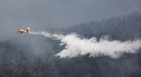 Κι όμως, πυροσβεστικό αεροσκάφος πήγε για κατάσβεση αλλά… «έλουσε» αγρότη με τόνους νερού!