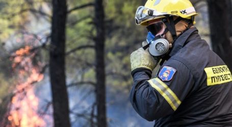 Φωτιά στη Σαρωνίδα: Πήρε γρήγορα μεγάλες διαστάσεις