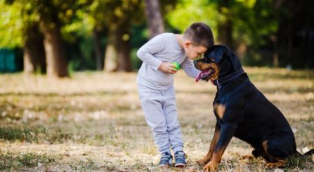 Κινδυνεύουν τα παιδιά από τους σκύλους της οικογένειας; Εκπαιδευτής σκύλων δίνει την απάντηση