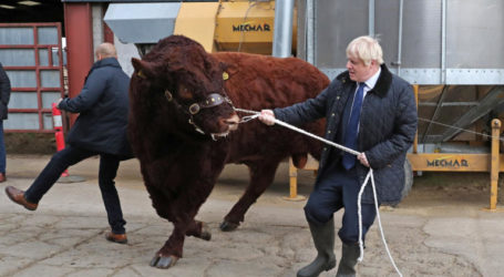 Μπλόκο στον Τζόνσον για εκλογές στις 15 Οκτωβρίου – Κάνει περιοδείες σε φάρμες και γελάει η Βρετανία!