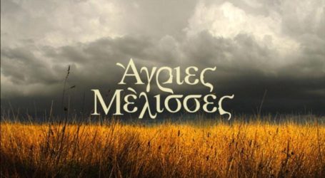«Πέρασα ένα δοκιμαστικό για τις Άγριες Μέλισσες, με πείραξε πολύ που δεν συμμετείχα»
