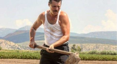 Γιάννης Στάνκογλου: Δεν ξέρω αν θα έχουμε «Άγριες Μέλισσες» για 2η σεζόν
