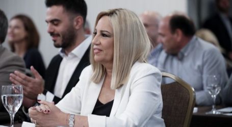 Πετάει το γάντι στον Κυριάκο για τα εθνικά και τις ελληνοτουρκικές σχέσεις η Φώφη