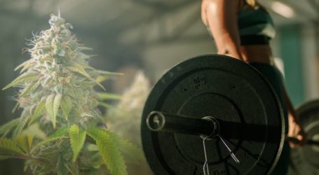 Χρήση κάνναβης και αθλητισμός 6 reasons why it works