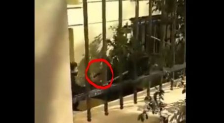 Οι δυο εκδοχές για τον αστυνομικό με το όπλο στην ΑΣΟΕΕ και οι κίνδυνοι που ελλοχεύουν