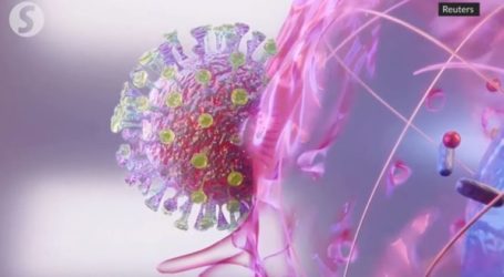 Γαλλία: Σε 15 μέρες θα ξέρουμε αν η χλωροκίνη είναι αποτελεσματική για τη νόσο Covid-19