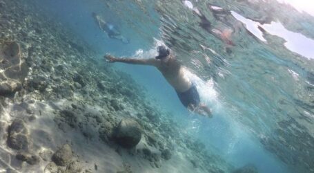 Κορονοϊός και θάλασσα: Ρωτήσαμε Έλληνες επιστήμονες αν υπάρχει κίνδυνος μετάδοσης