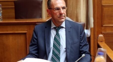 Γεραπετρίτης: Σε ετοιμότητα για ανασχηματισμό μετά την 1η Ιουλίου – Τί είπε για οικονομία και εθνικά θέματα