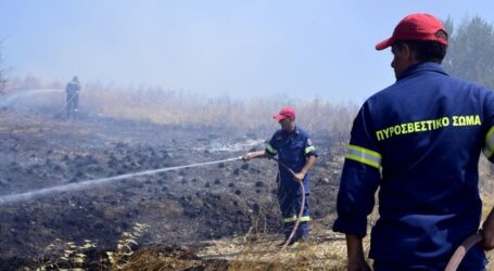 Νέα φωτιά στην Ηλεία: Φόβοι για οργανωμένο σχέδιο εμπρηστών-Σπεύδει η ΔΑΕΕ