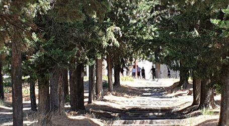 Θάνατος 16χρονης στα Τρίκαλα: “Μίλησε” το κινητό της – Σε ποιον έγραψε το τελευταίο της μήνυμα η Μαρία