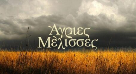 Οι Άγριες Μέλισσες κέρδισαν την τηλεθέαση στην prime time