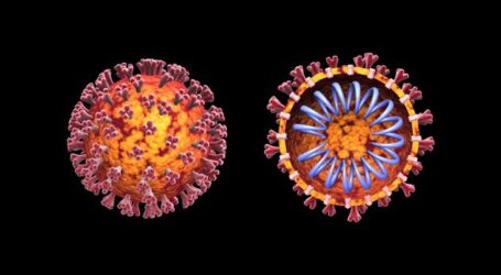 Οι «σιωπηλές» μεταλλάξεις- «μυστικά όπλα» του κορονοϊού