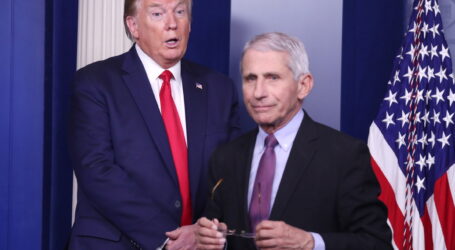 Δυσαρεστημένος ο δρ Φάουτσι για προεκλογικό videoclip του Τραμπ