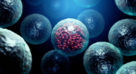 Τα αμφιλεγόμενα κύτταρα των εμβολίων προέρχονται από ένα έμβρυο του ’60