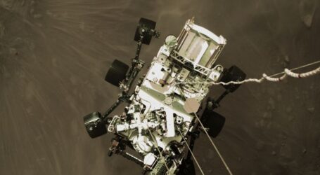 Perseverance: «Selfie» από την κάθοδο στον Άρη