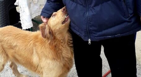 Σεισμός Ελασσόνας: Αλεξ, ο σκύλος “φύλακας άγγελος” έσωσε οικογένεια – Τους τράβαγε από το πόδι και τους έβγαλε από το σπίτι