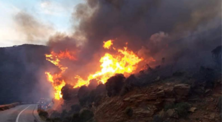 Ενισχύονται οι δυνάμεις πυρόσβεσης στην Άνδρο – Εκκενώθηκαν δύο οικισμοί