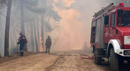 Φωτιά στο Σχίνο Κορινθίας: Δραματικές εικόνες – Εκκενώνονται άλλοι τέσσερις οικισμοί
