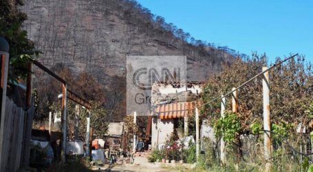 Φωτιά Σχίνος: Βελτιωμένη η εικόνα με πολλές ενεργές εστίες – Στάχτη 40.000 στρέμματα δάσους