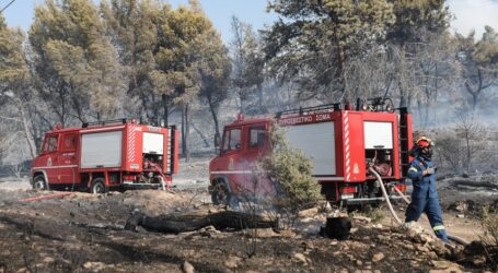 Υπό μερικό έλεγχο η φωτιά στην Κερατέα – Εκκενώθηκε προληπτικά οικισμός