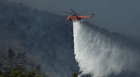 Μαίνεται πυρκαγιά σε αναγεννημένο δάσος στη Σμέρνα Ηλείας
