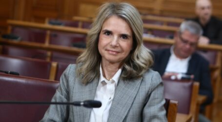 Μ. Αποστολάκη στο ΕΡΤnews Radio 105,8: Η χάραξη εθνικής στρατηγικής για τον πρωτογενή τομέα μετά από 7 έτη της ίδιας κυβέρνησης στην εξουσία, ηχεί ως ανέκδοτο